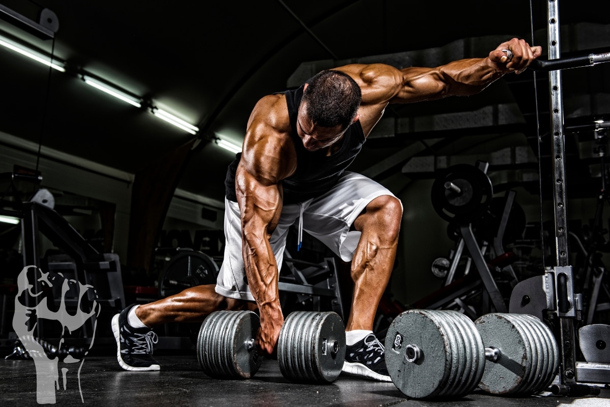 Exercise Rotation Your Key to Consistent Gains